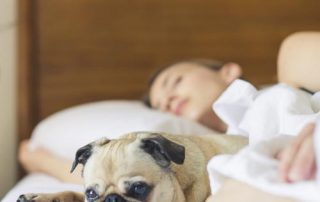 Sleeping With Pets Bad for the Spine
