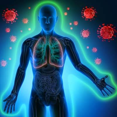 The Immune System and Chiropractic Care