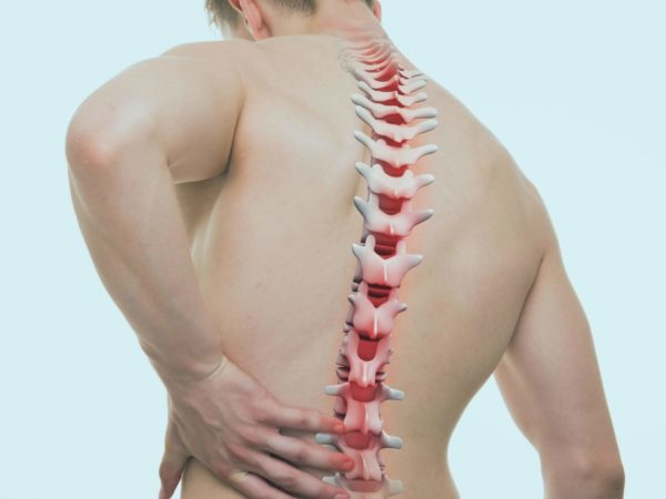 The-spine-role-in-health