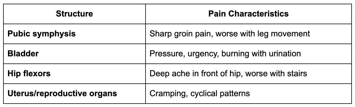 Common anterior pelvic pain structures